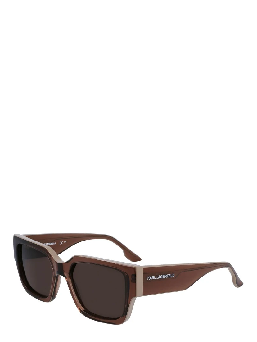 Brown Injected Sunglasses