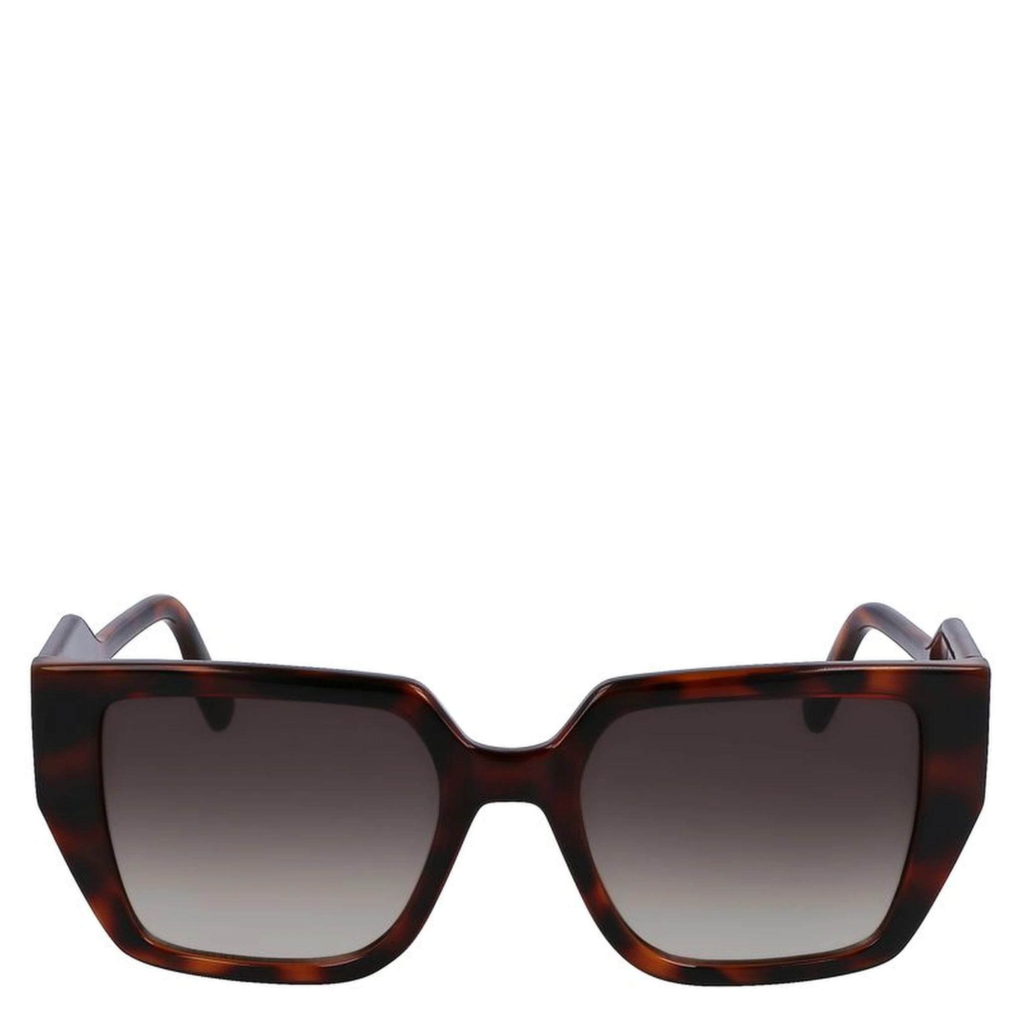 Brown Injected Sunglasses