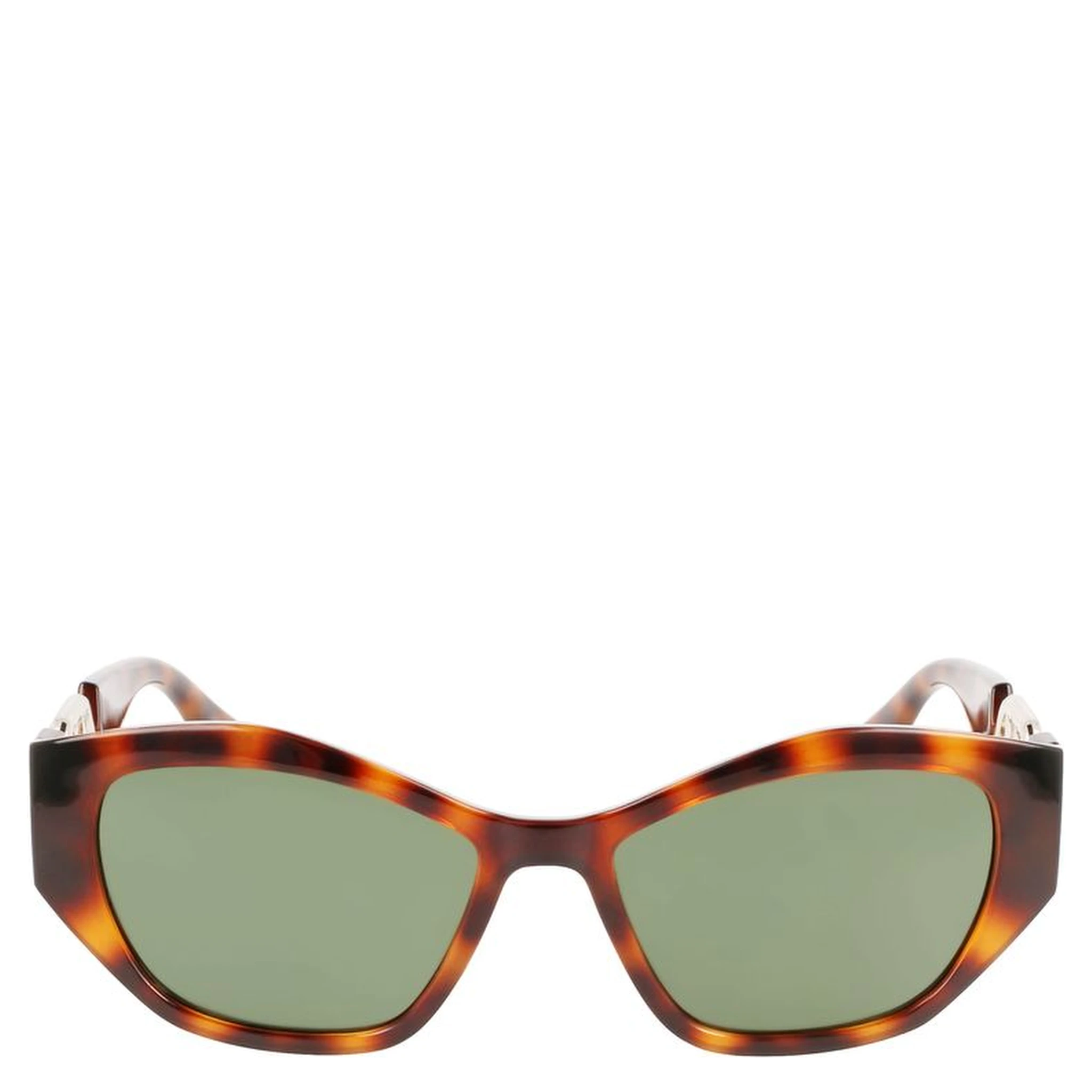 Brown Injected Sunglasses