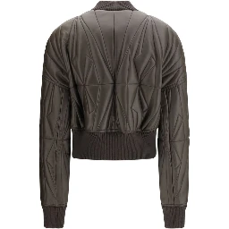 Brown Lamb Ovis Aries Aries Bomber