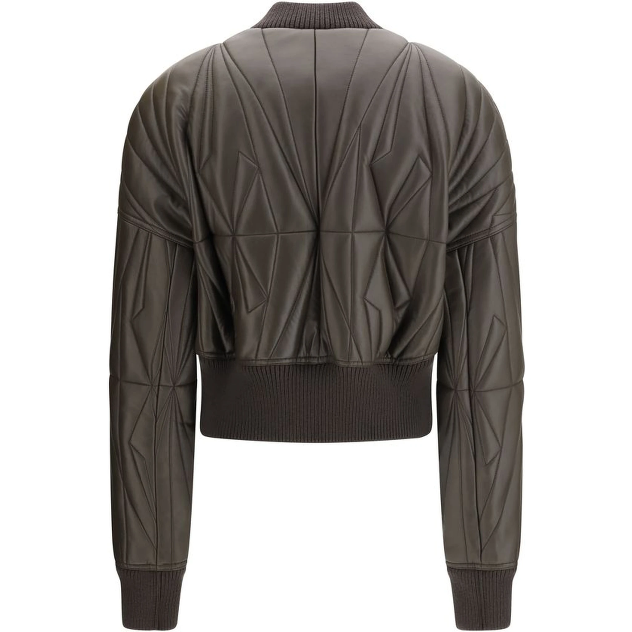 Brown Lamb Ovis Aries Aries Bomber