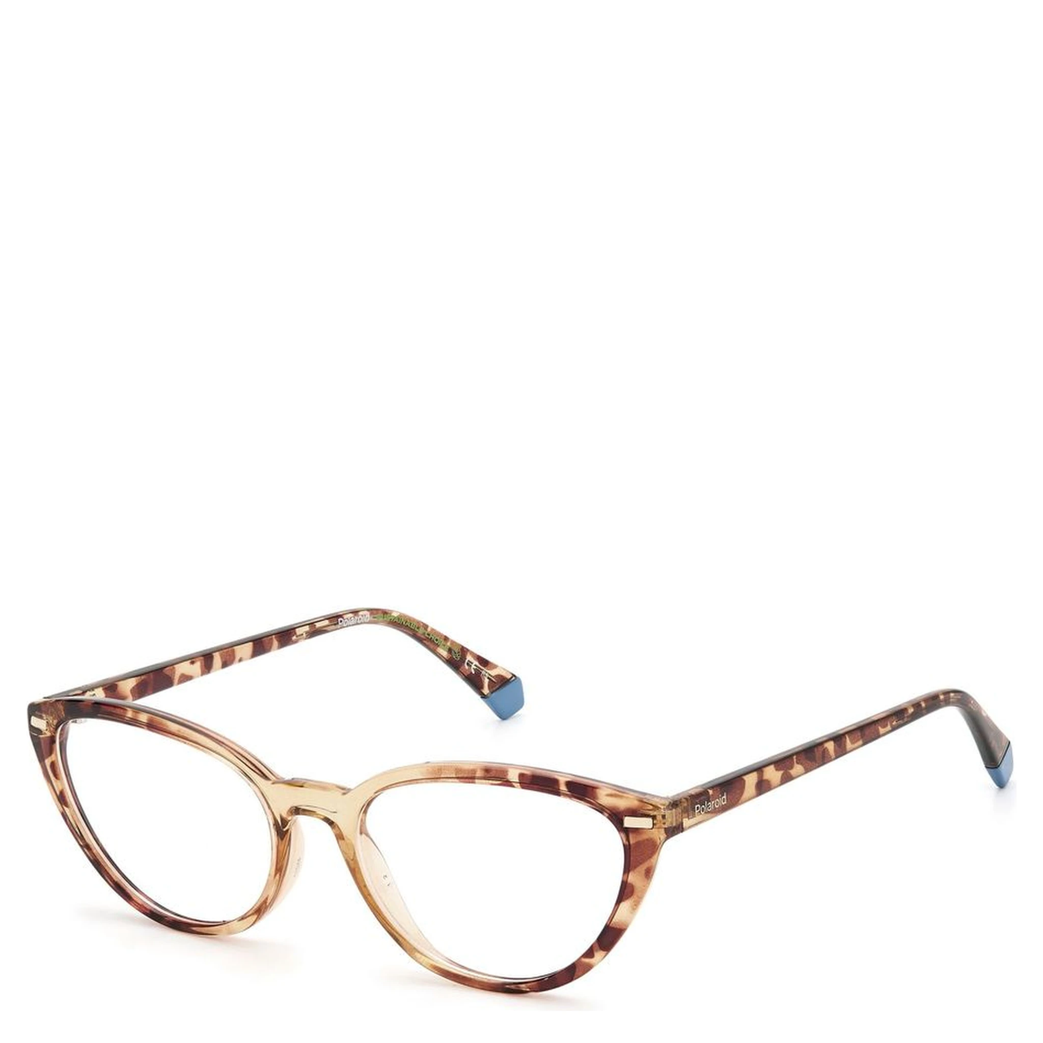 Bicolor Polyamide Glasses (Frames)