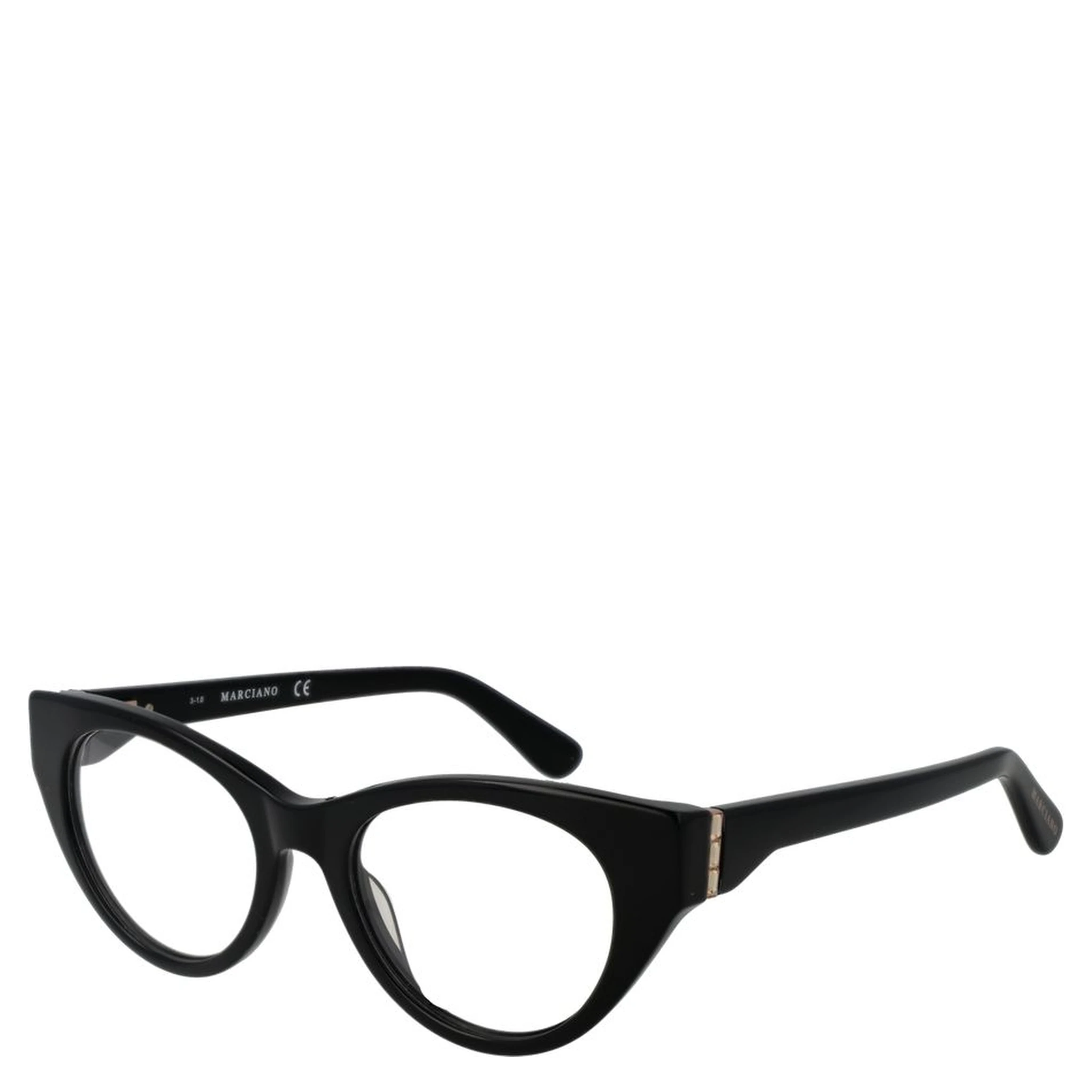 Black Plastic Glasses (Frames)