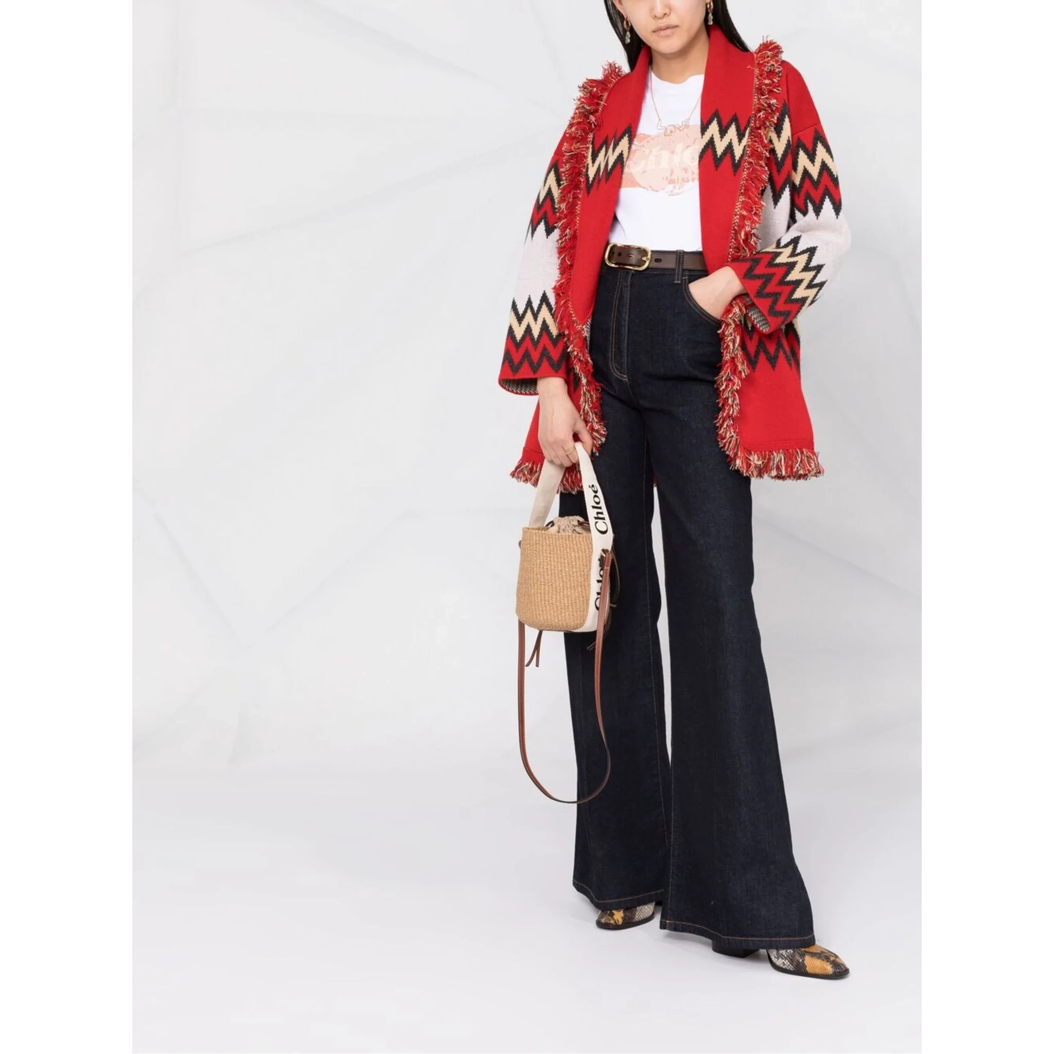 حقائب كلوي