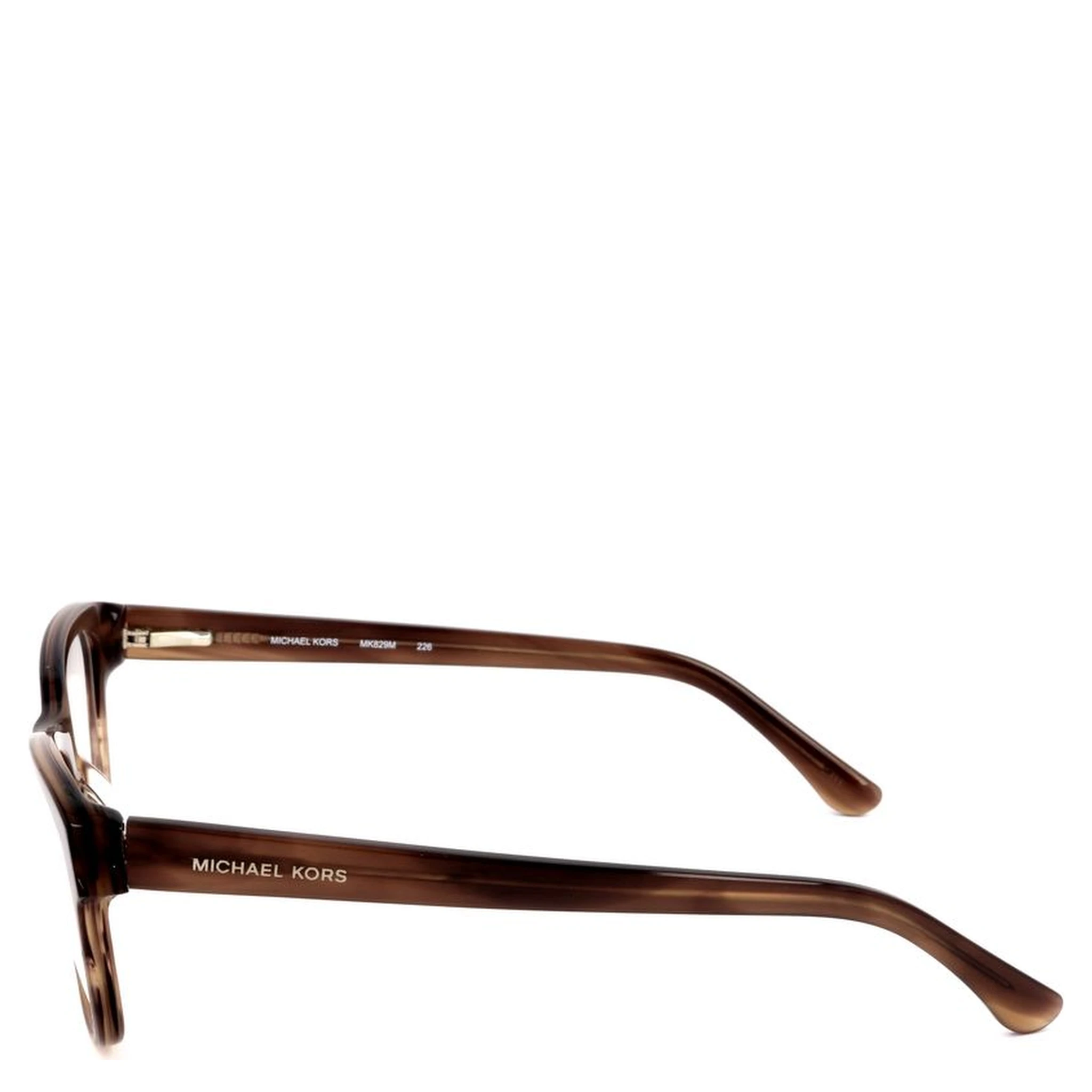 Brown Plastic Glasses (Frames)