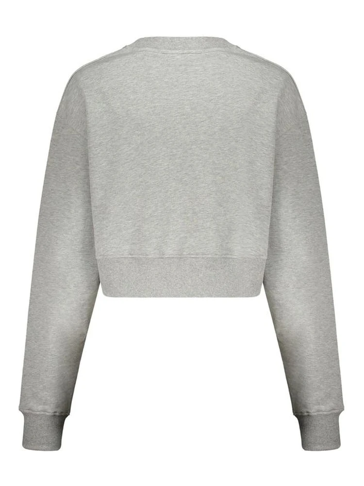 Gray Cotton Sweatshirt alternative