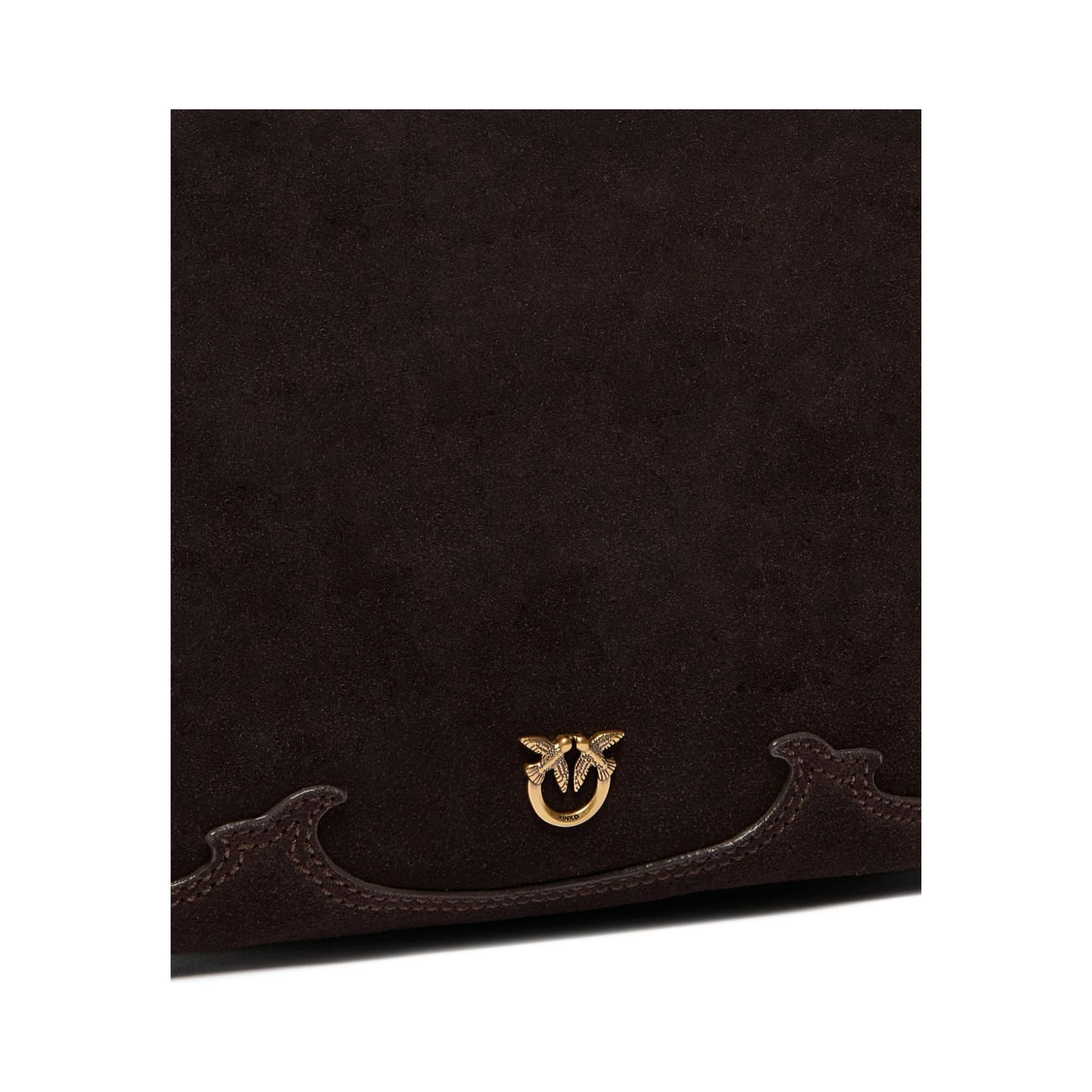Pinko Bags.. Brown