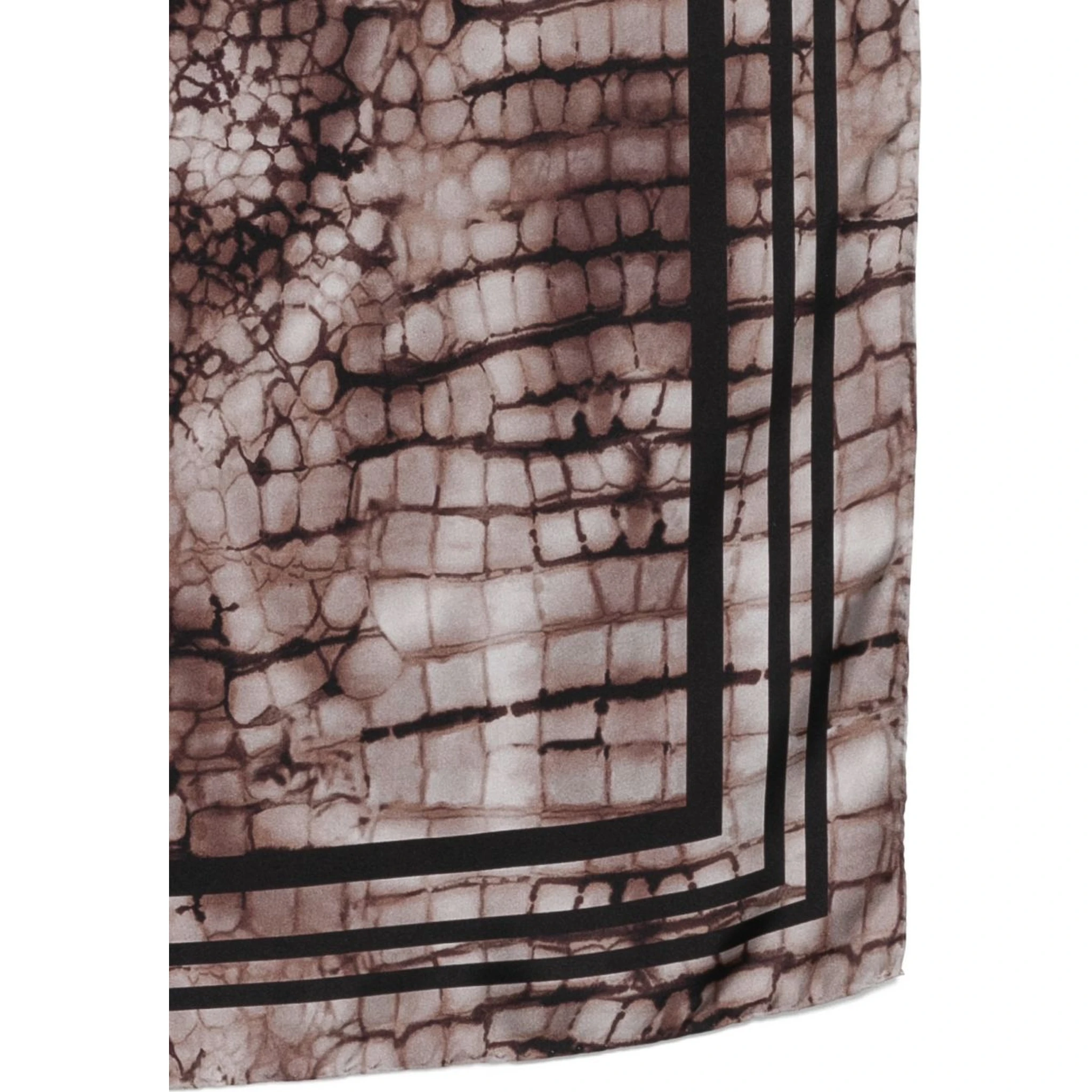 Elisabetta Franchi Scarfs Brown