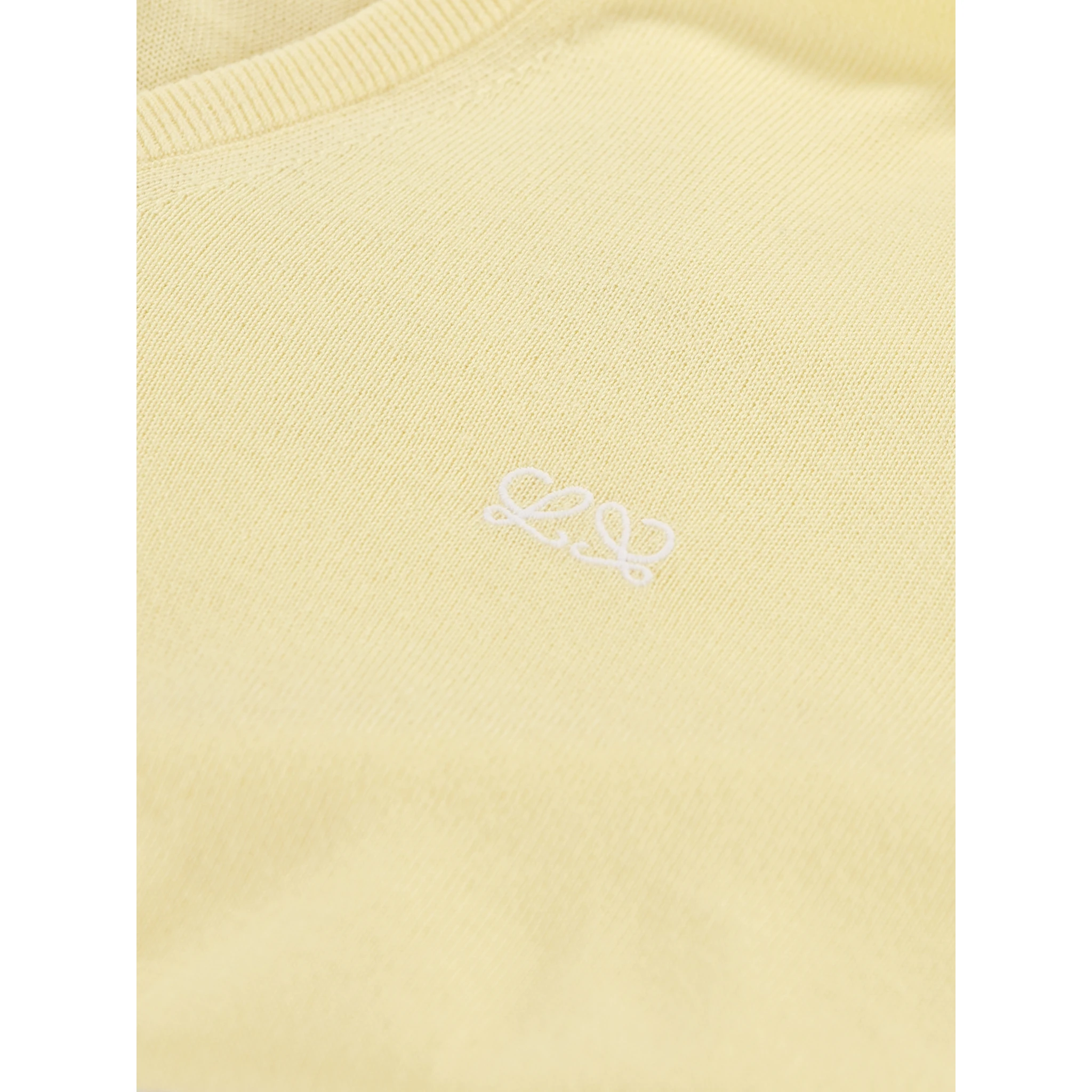 Loewe Sweaters