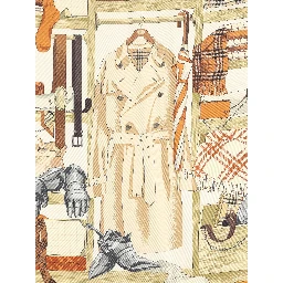 Burberry Scarfs