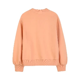 Chloè Sweaters Orange