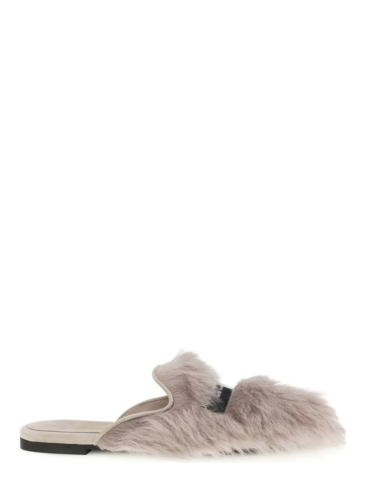 Gray Lamb Ovis Aries Aries Mules