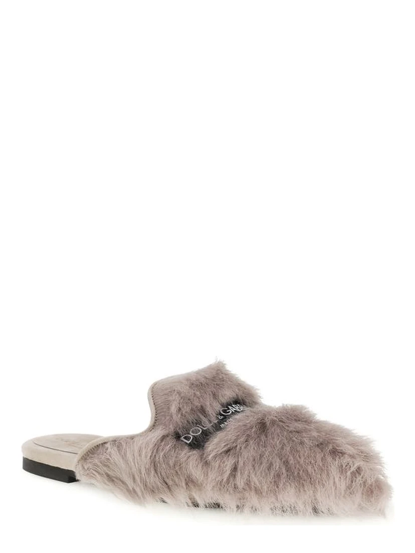 Gray Lamb Ovis Aries Aries Mules
