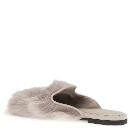 Gray Lamb Ovis Aries Aries Mules