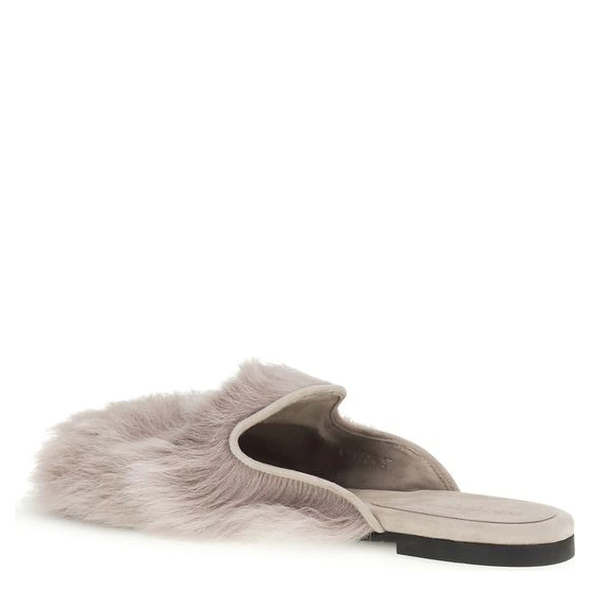 Gray Lamb Ovis Aries Aries Mules