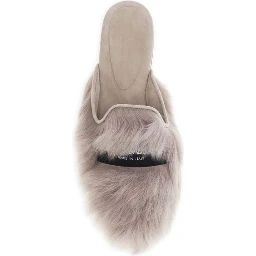 Gray Lamb Ovis Aries Aries Mules