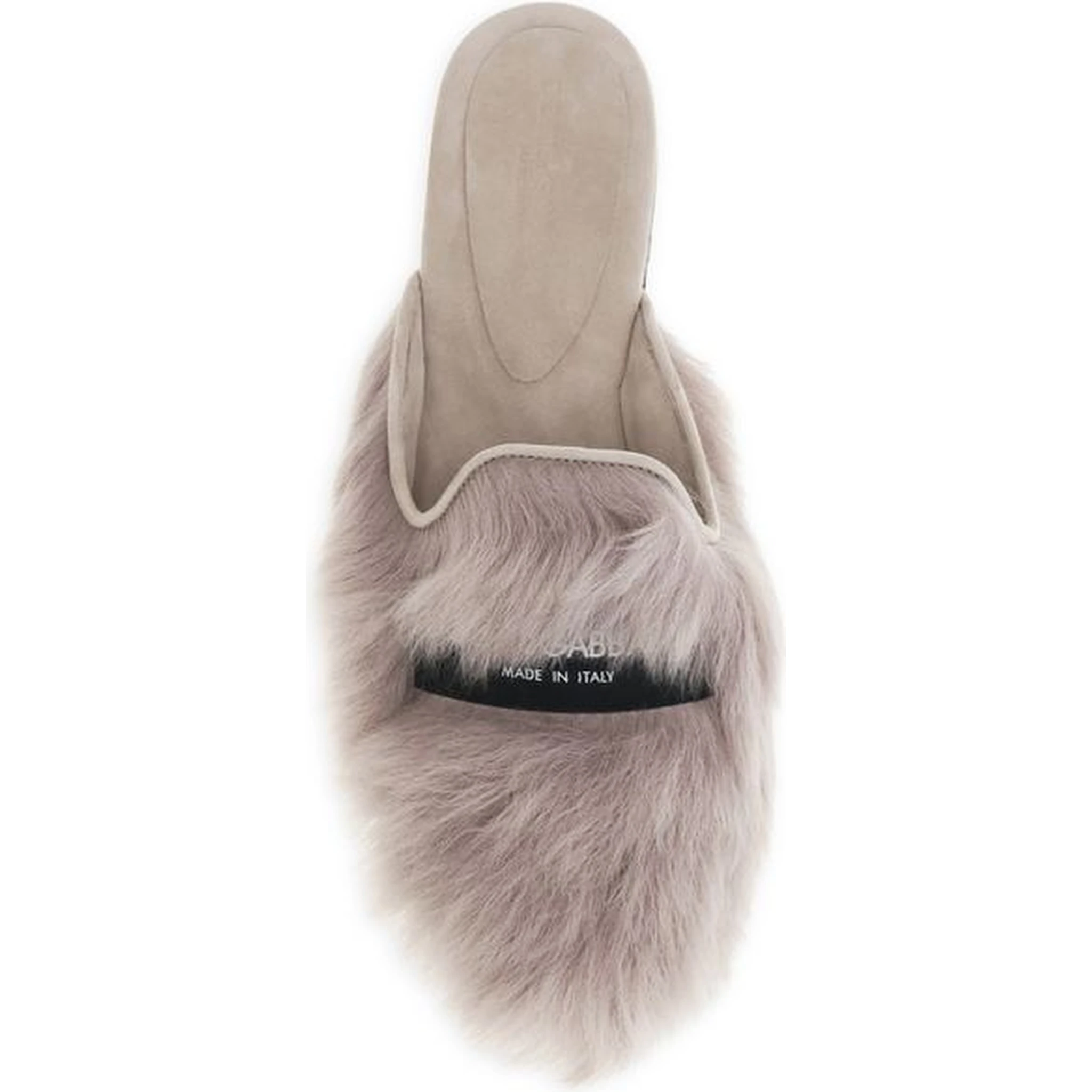 Gray Lamb Ovis Aries Aries Mules