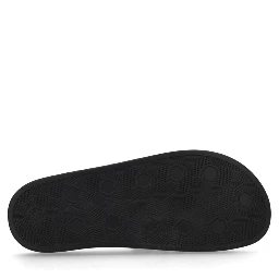 SLIDES WITH PRINT