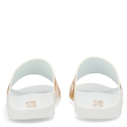 SLIDES WITH PRINT