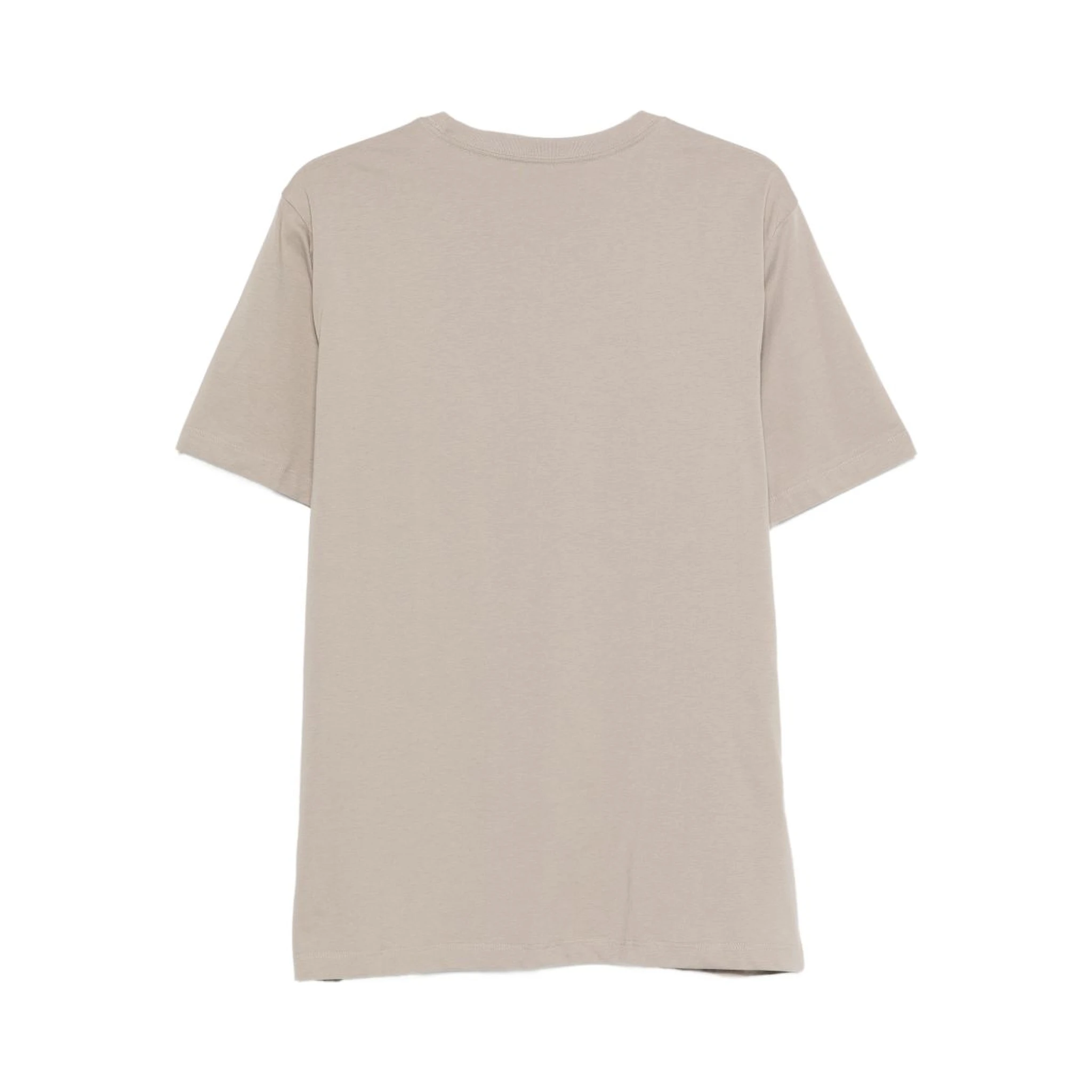 THE NORTH FACE T-shirts and Polos Grey
