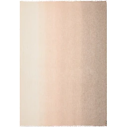 Faliero Sarti Scarfs Brown