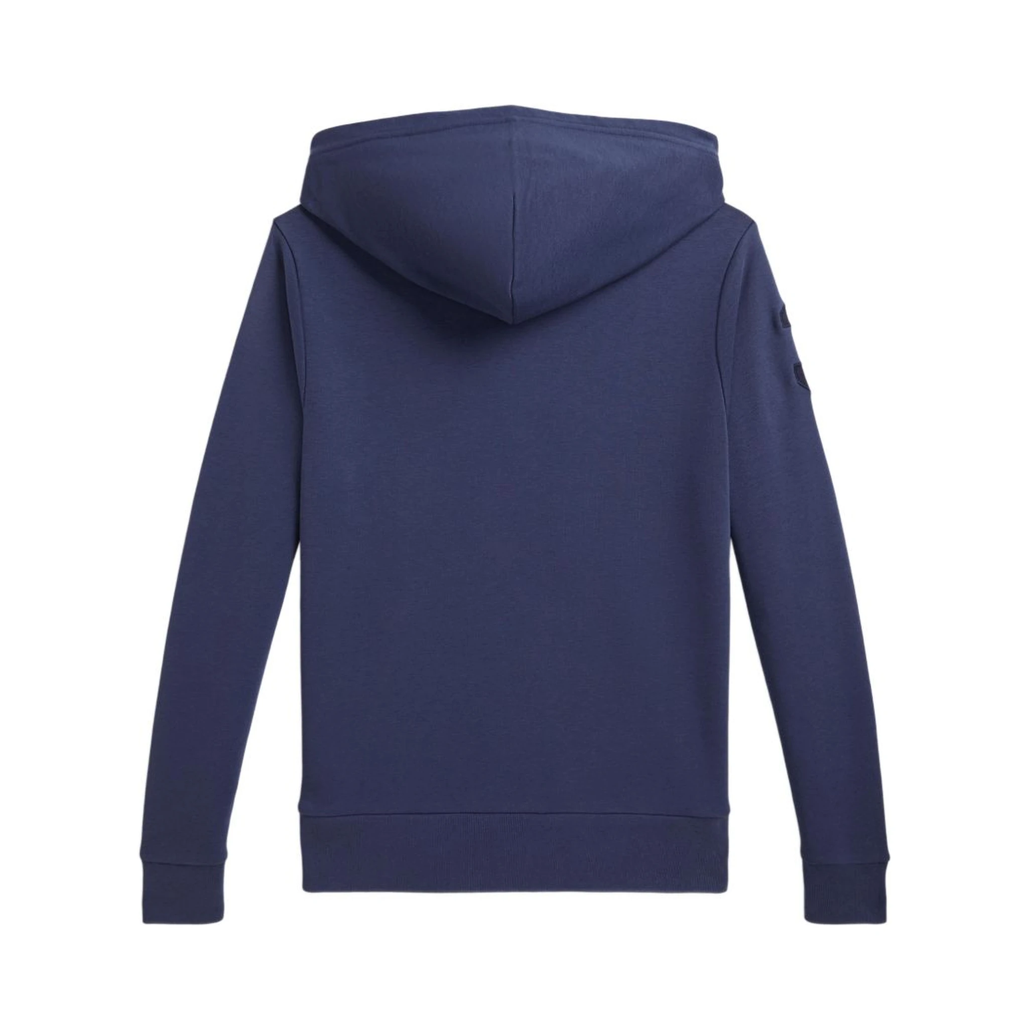 Polo Ralph Lauren Sweaters Blue