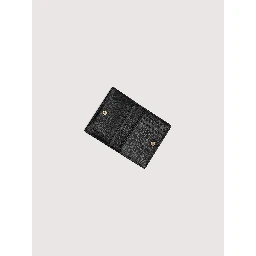 COCCINELLE METALLIC card holder