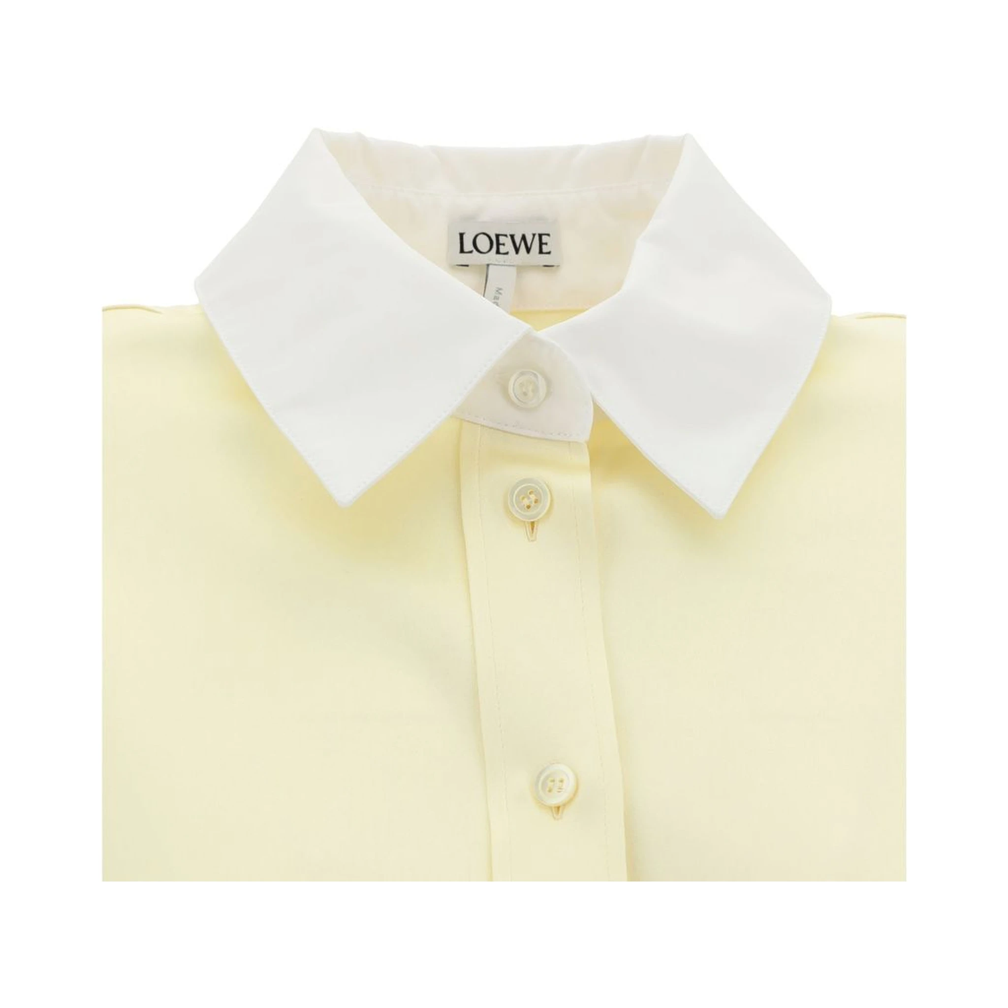 Bicolor Silk Shirt