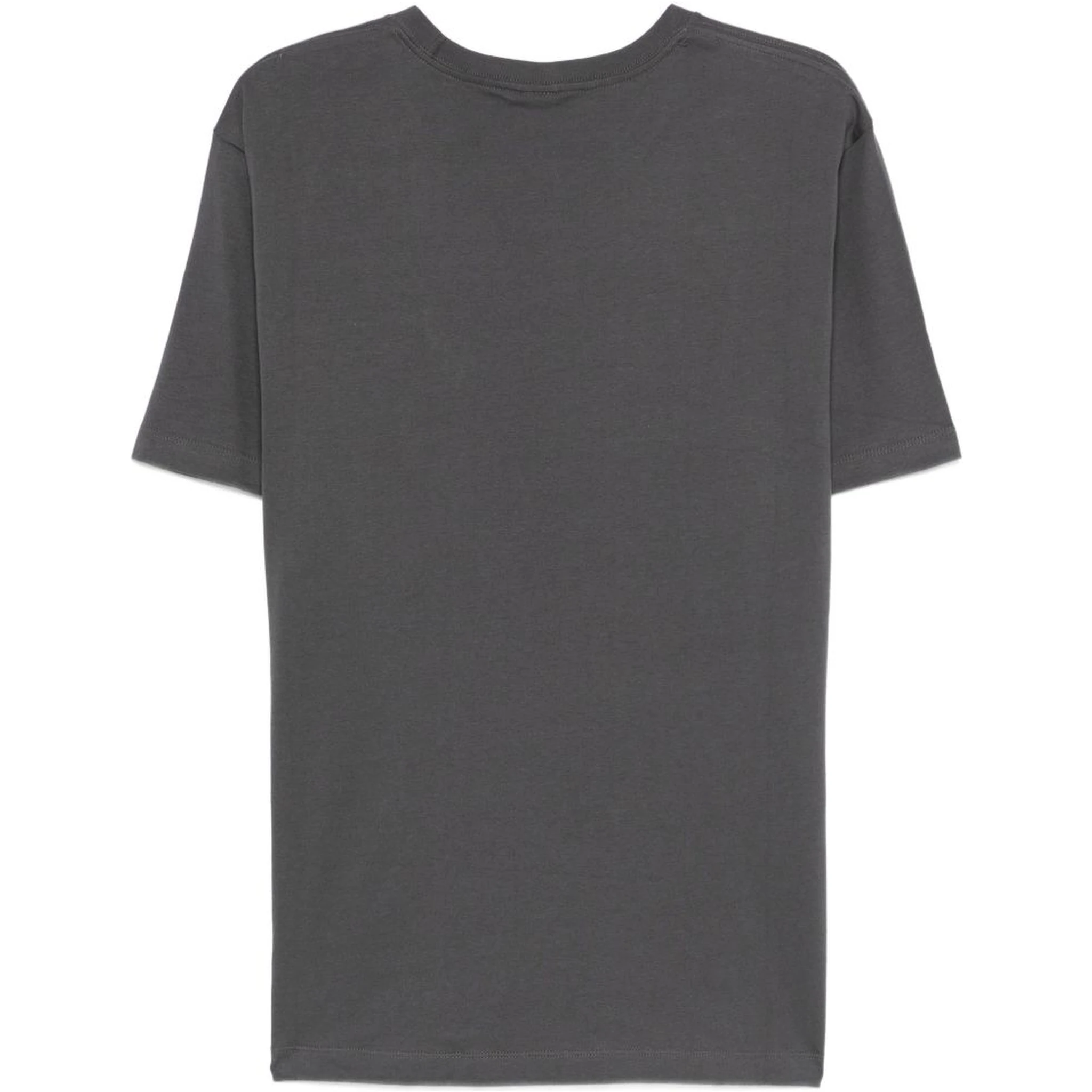 THE NORTH FACE T-shirts and Polos Grey
