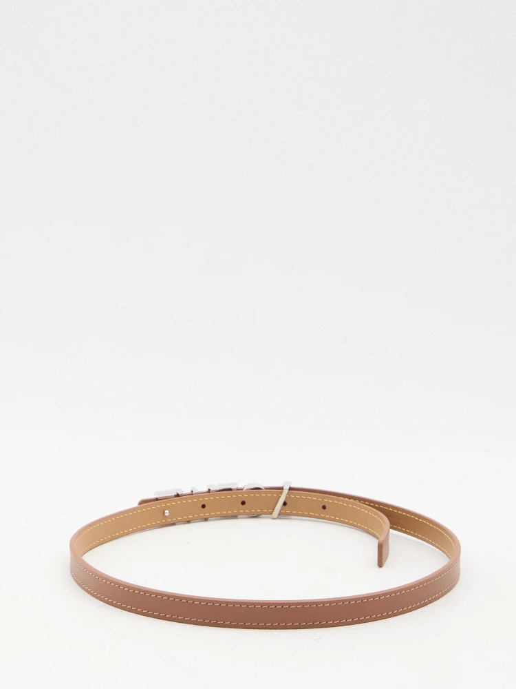 LOEWE belt alternative