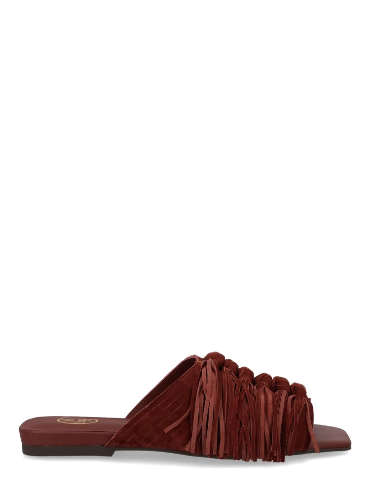 MULE "BRIGITTE"