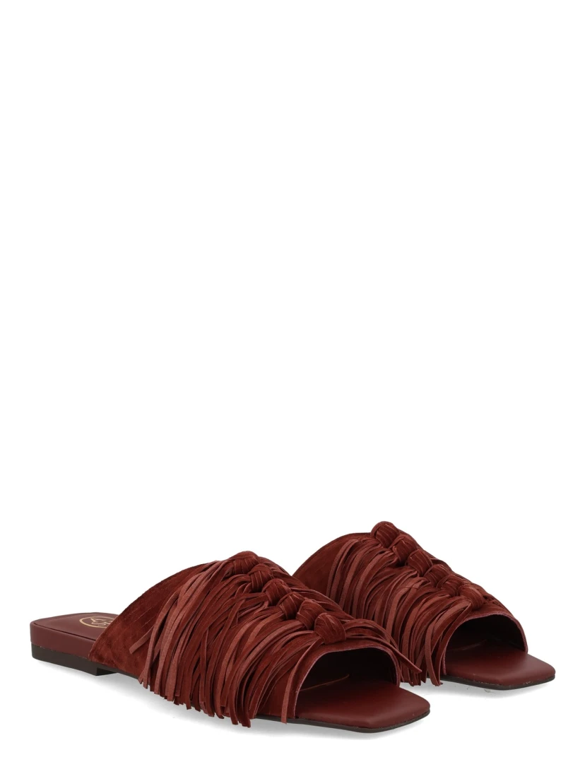 MULE "BRIGITTE"