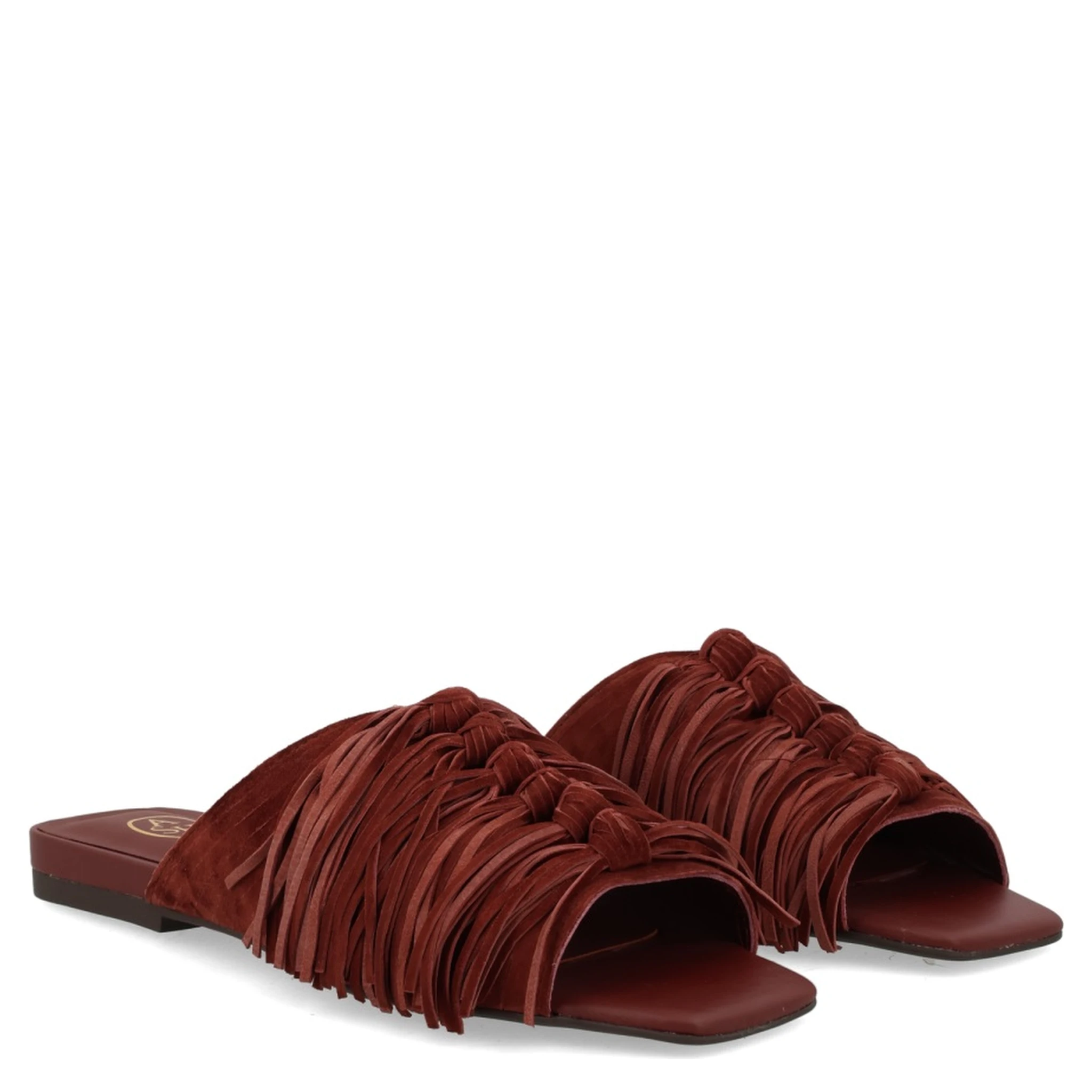 MULE "BRIGITTE"