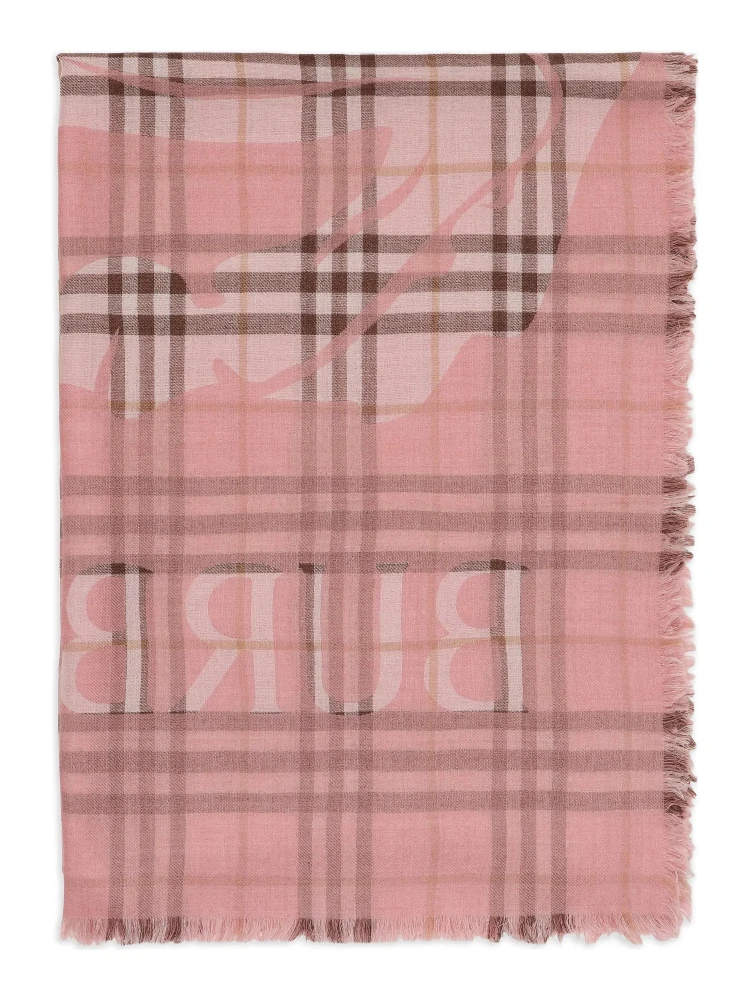 Burberry Scarfs