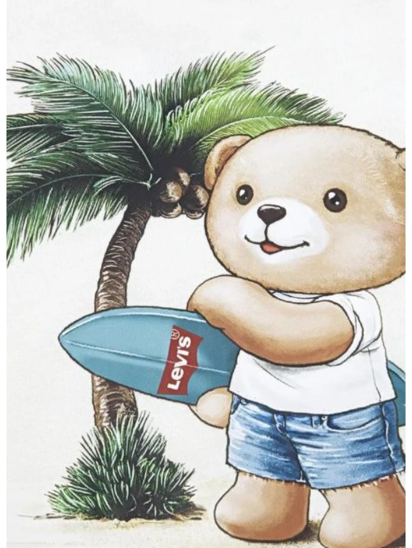 Levi's Accessories