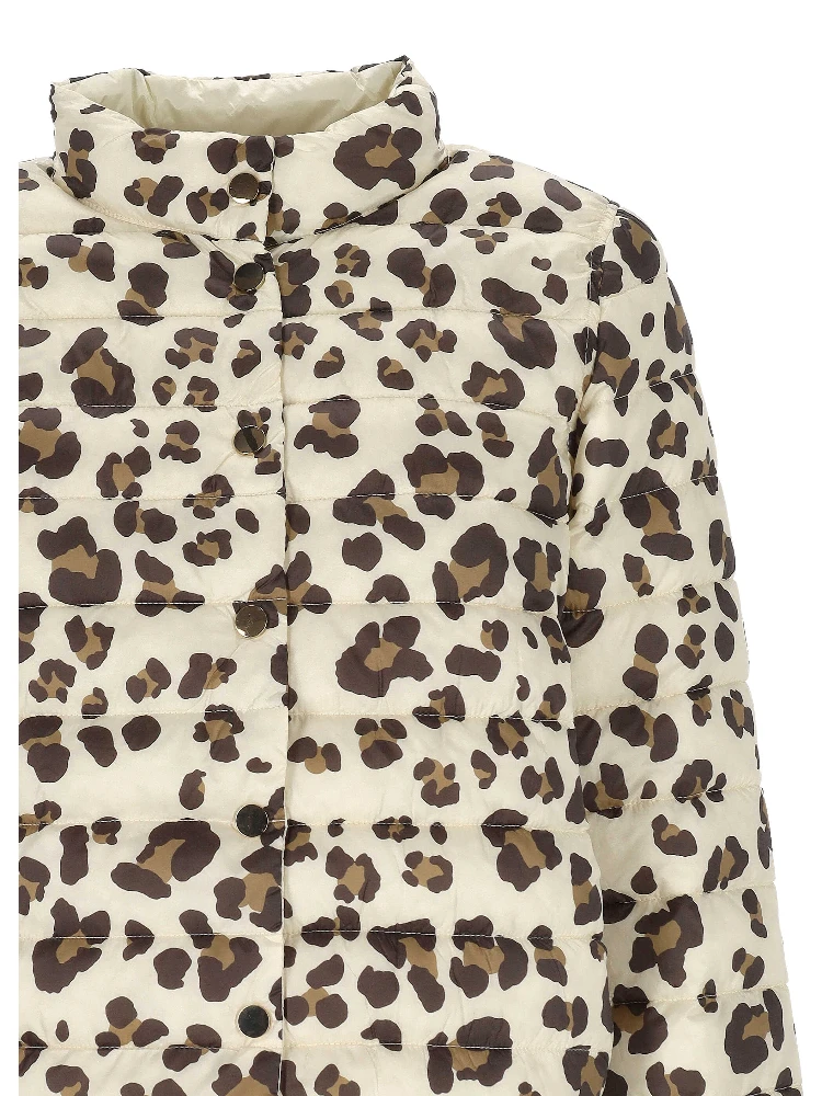 Emme Marella Jackets alternative