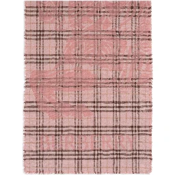 Burberry Scarfs