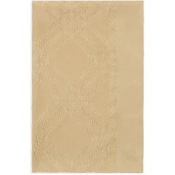 Burberry Scarfs
