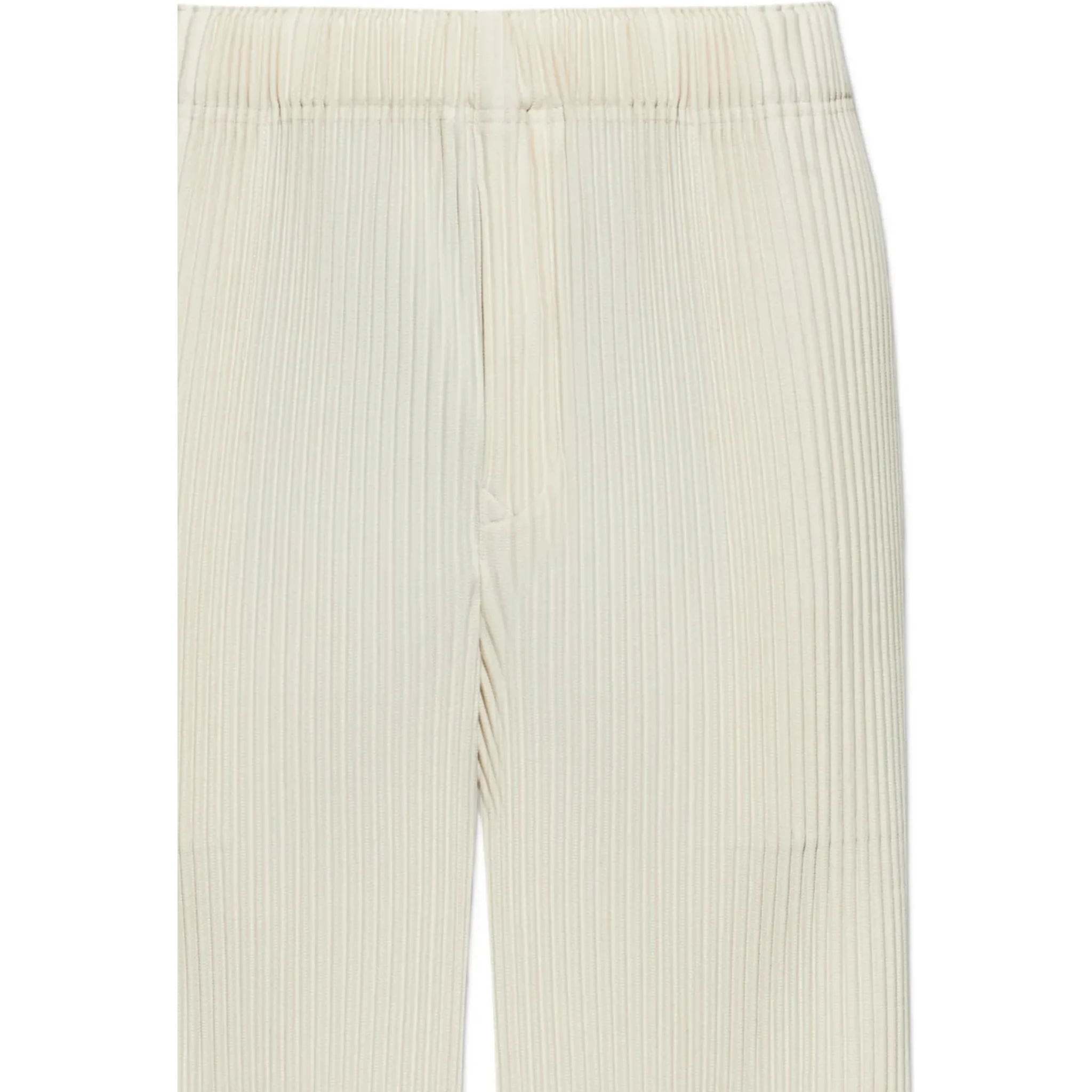 Issey Miyake Trousers