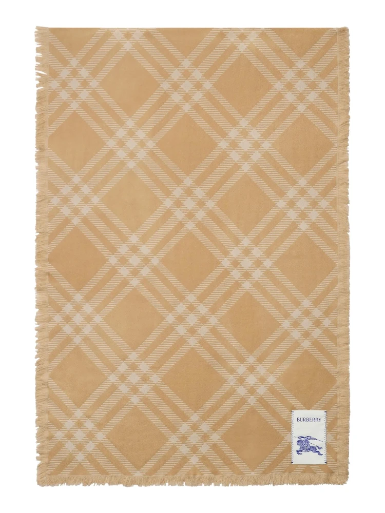 Burberry Scarfs