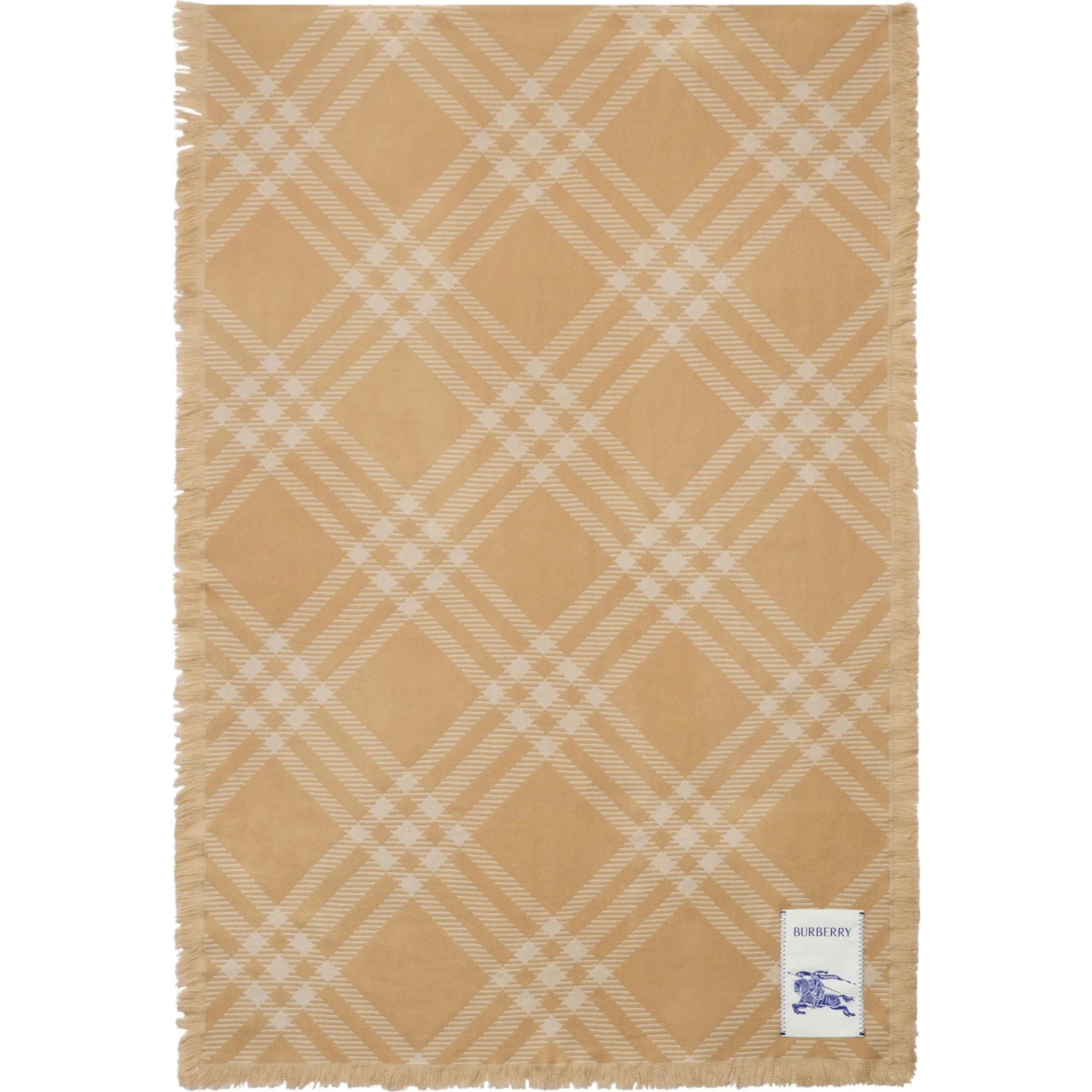 Burberry Scarfs