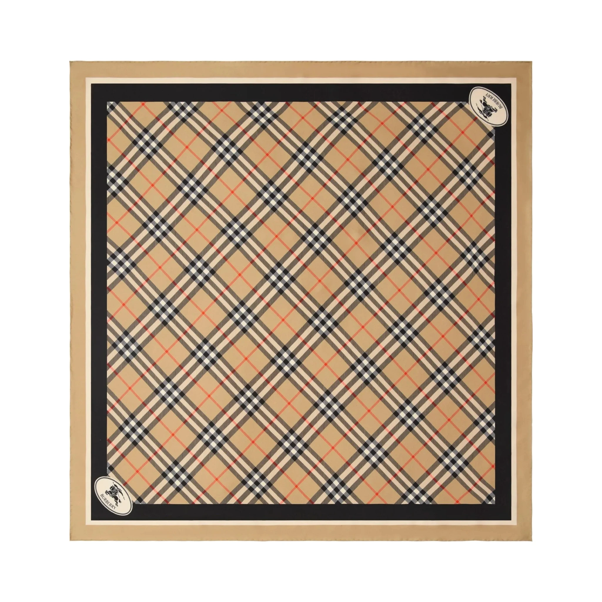 Burberry Scarfs
