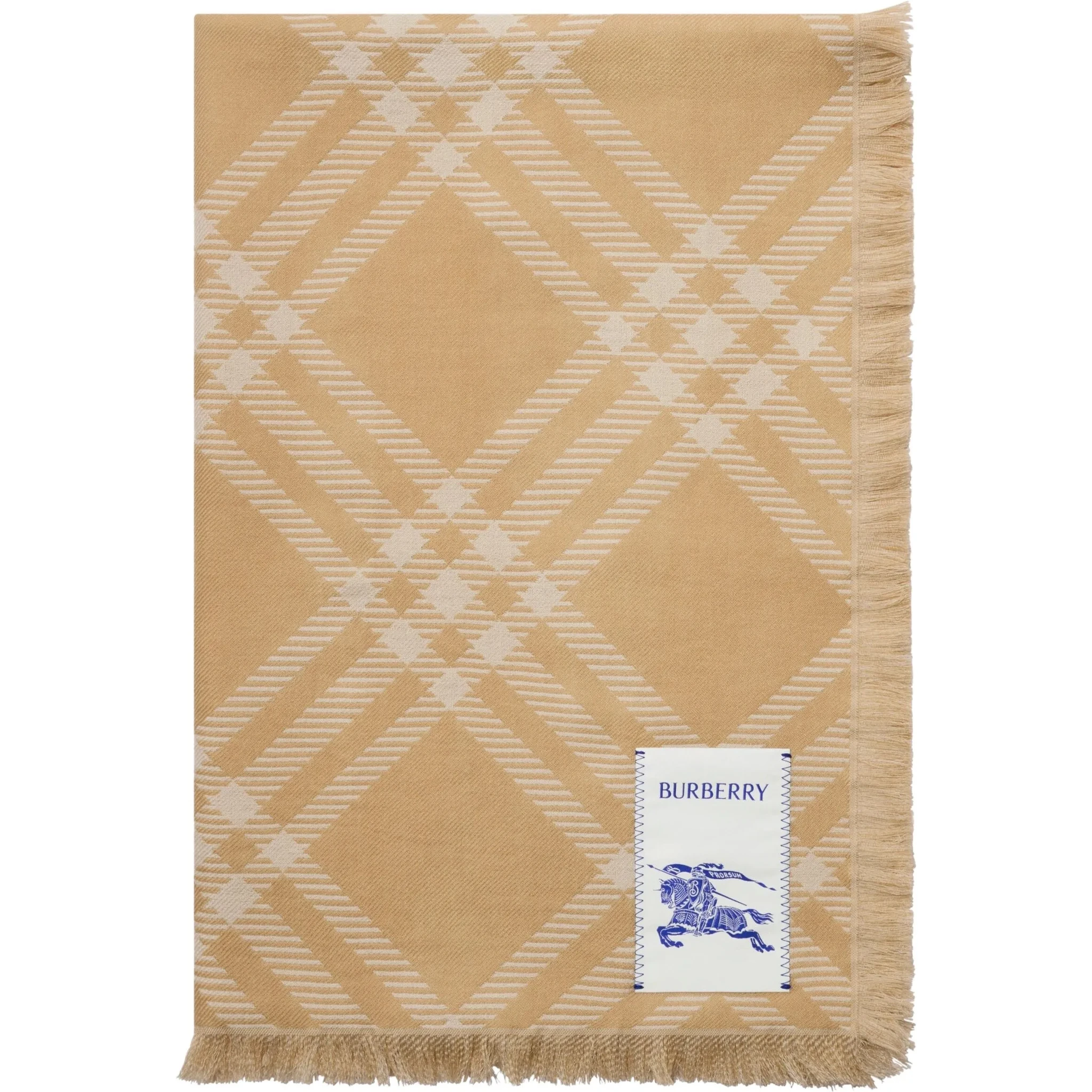 Burberry Scarfs