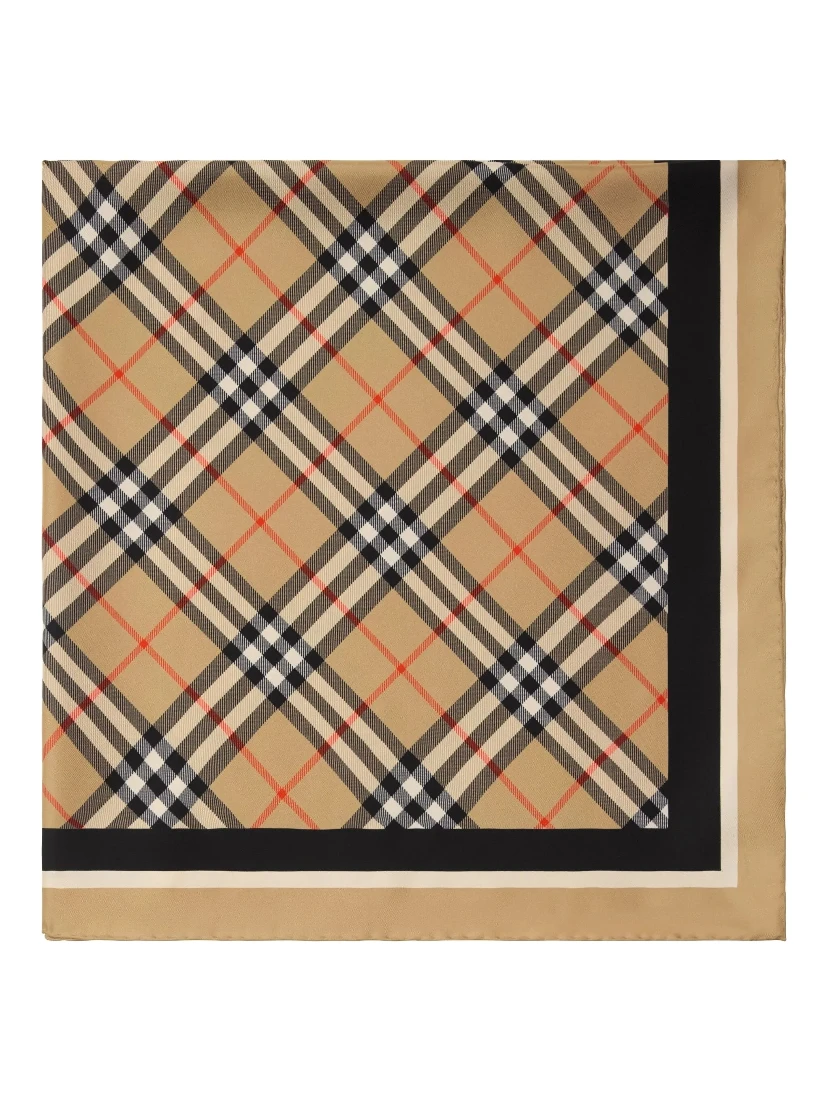 Burberry Scarfs