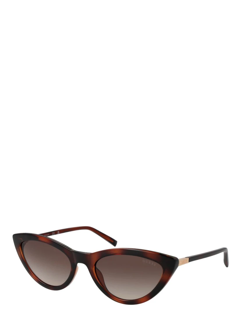 Brown Plastic Sunglasses