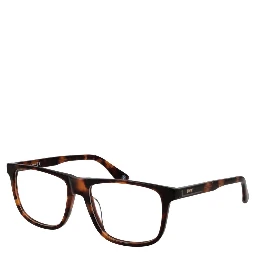 Brown Plastic Glasses (Frames)