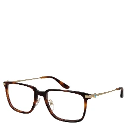 Brown Plastic Glasses (Frames)