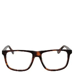Brown Plastic Glasses (Frames)