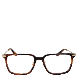Brown Plastic Glasses (Frames)