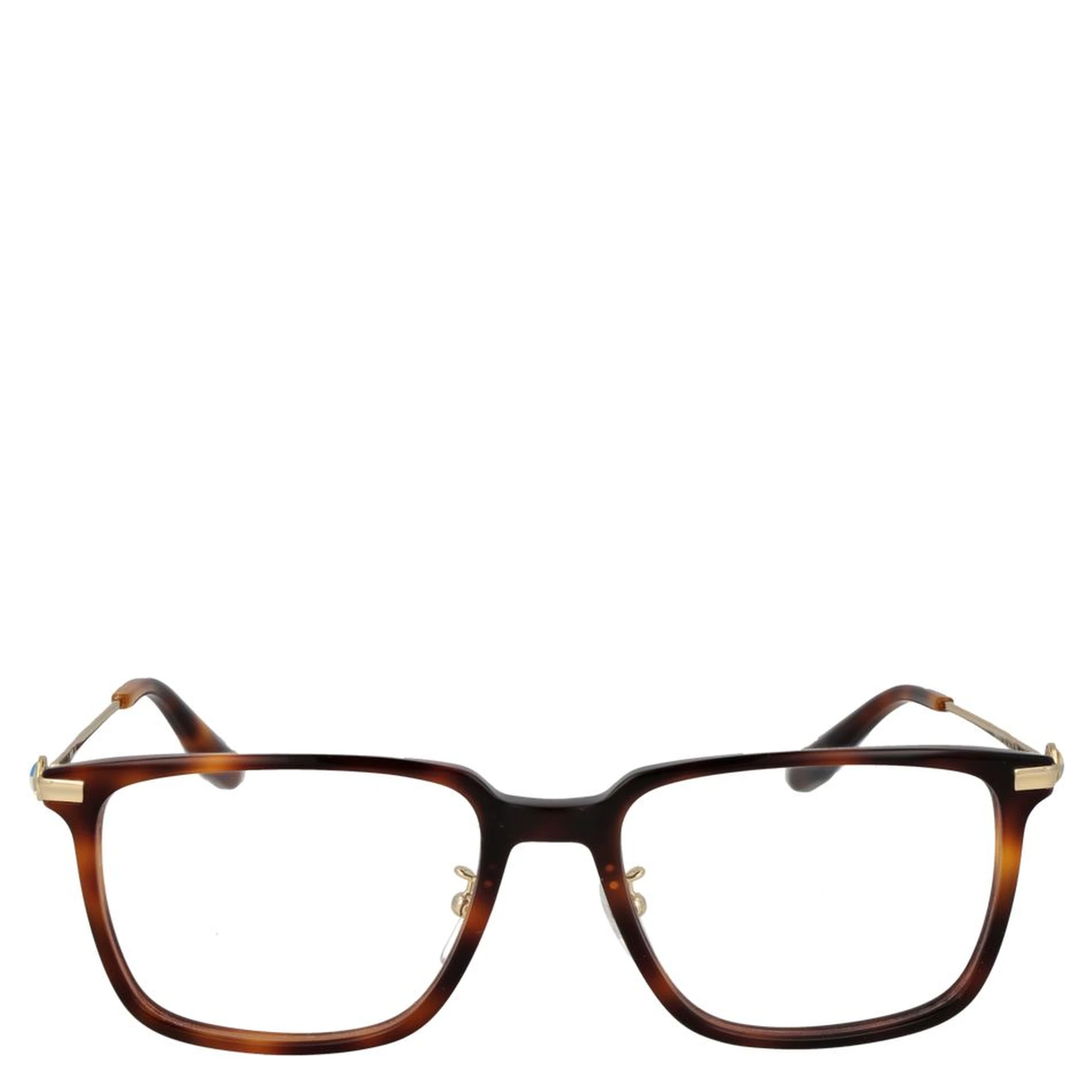 Brown Plastic Glasses (Frames)